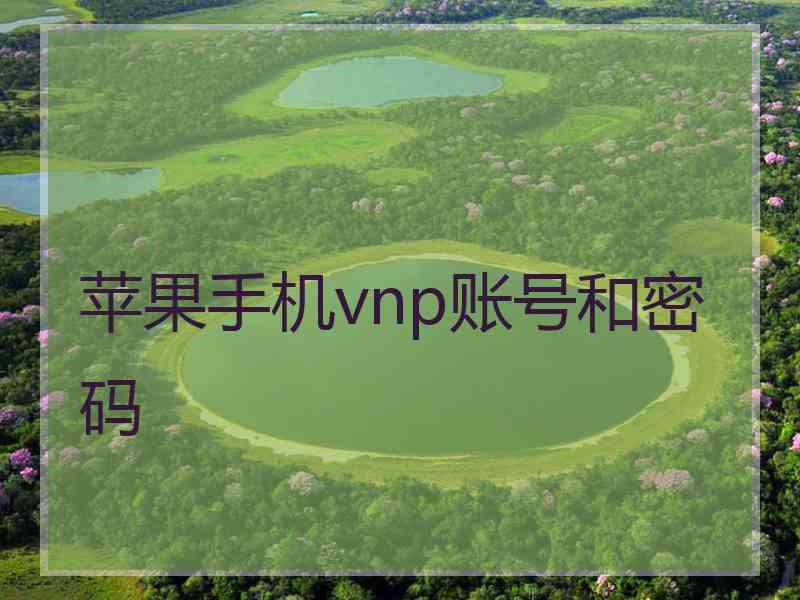 苹果手机vnp账号和密码
