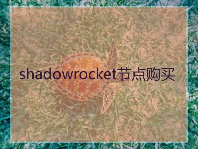 shadowrocket节点购买
