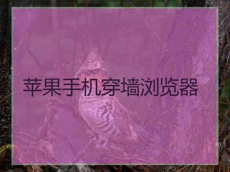 苹果手机穿墙浏览器