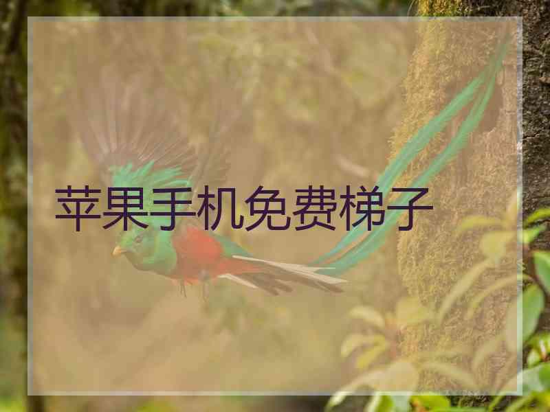 苹果手机免费梯子
