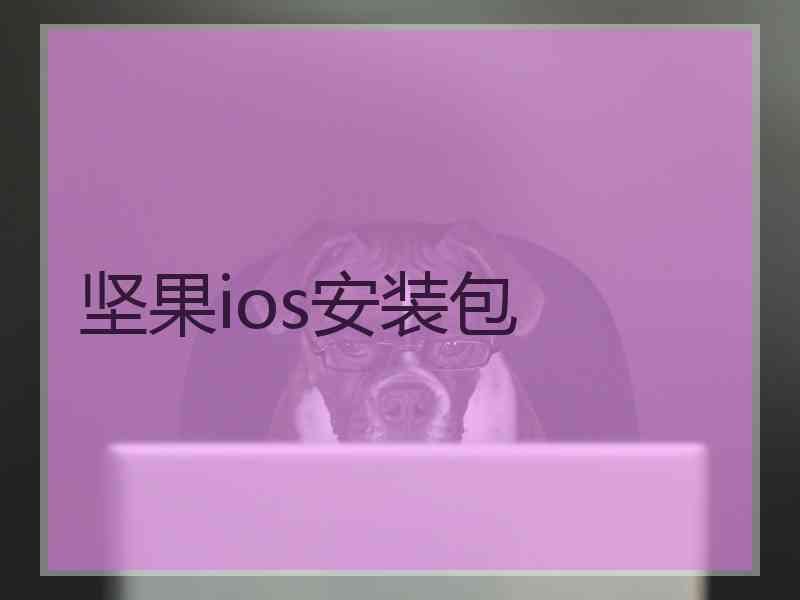 坚果ios安装包