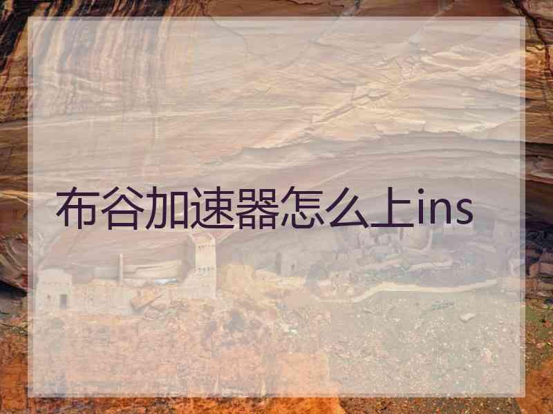 布谷加速器怎么上ins