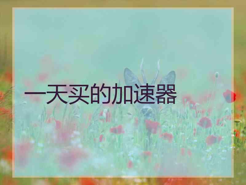 一天买的加速器