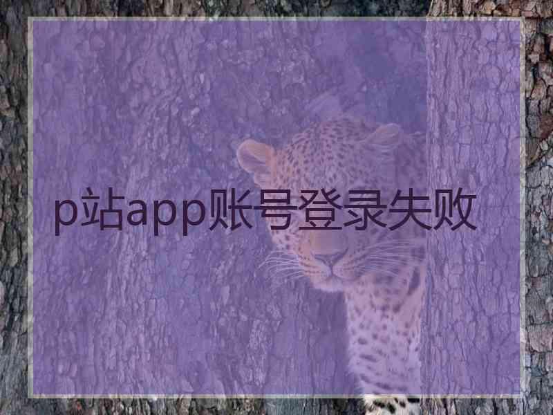 p站app账号登录失败