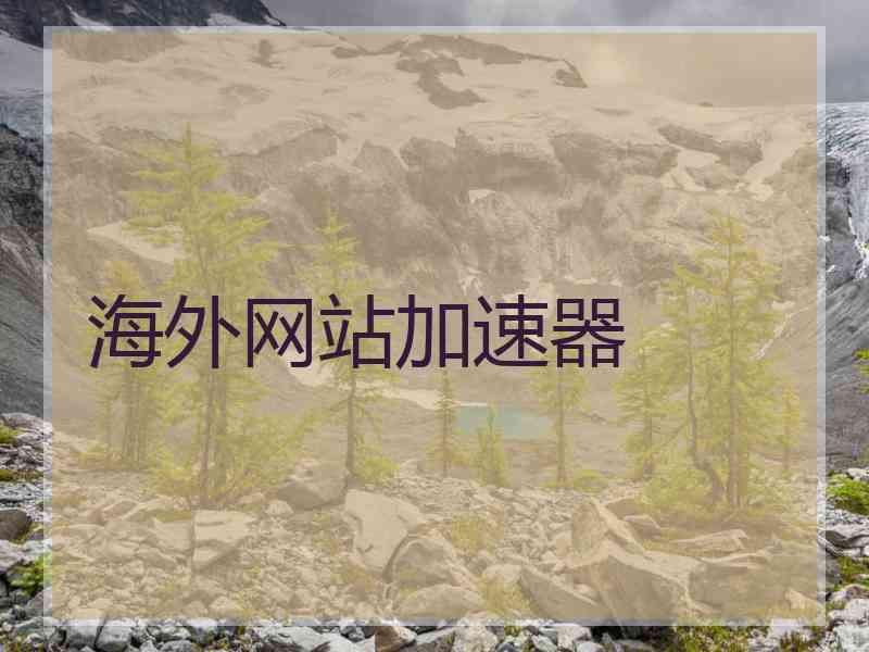 海外网站加速器
