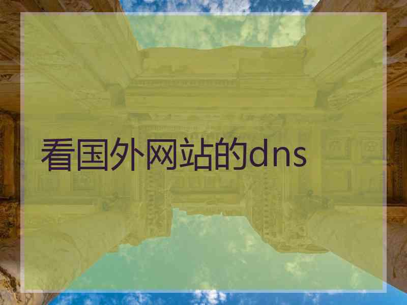 看国外网站的dns