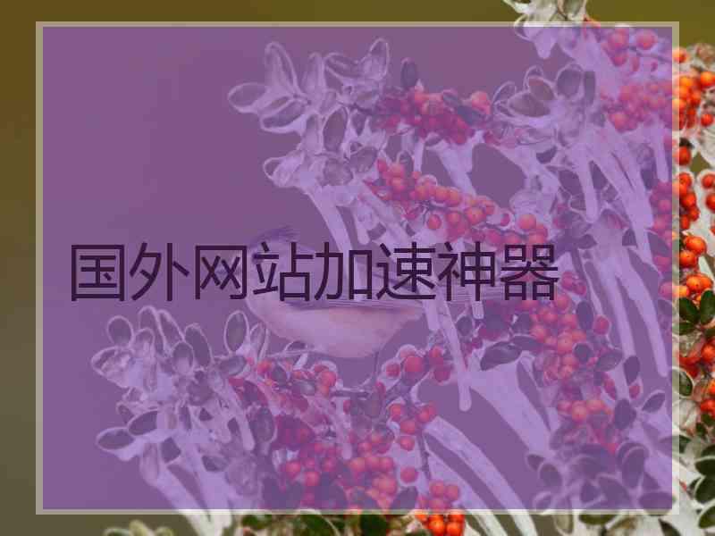 国外网站加速神器