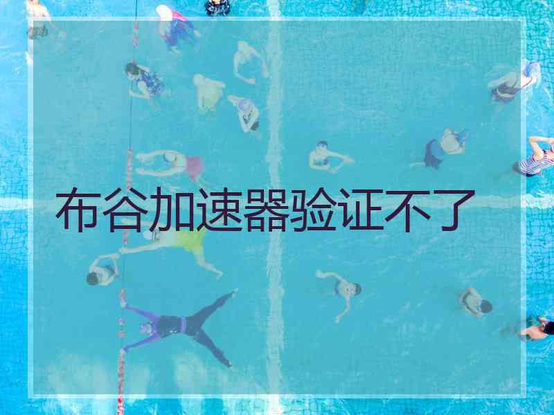 布谷加速器验证不了