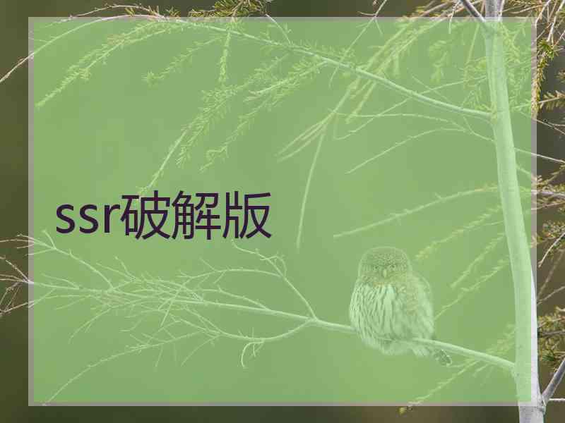 ssr破解版