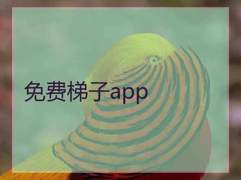 免费梯子app