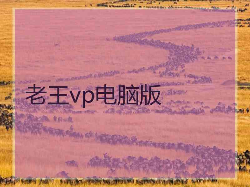 老王vp电脑版