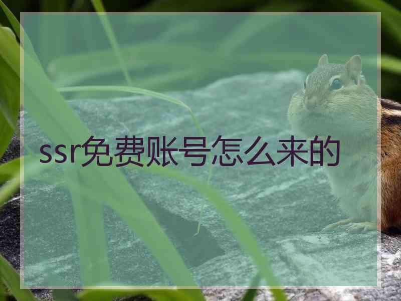 ssr免费账号怎么来的