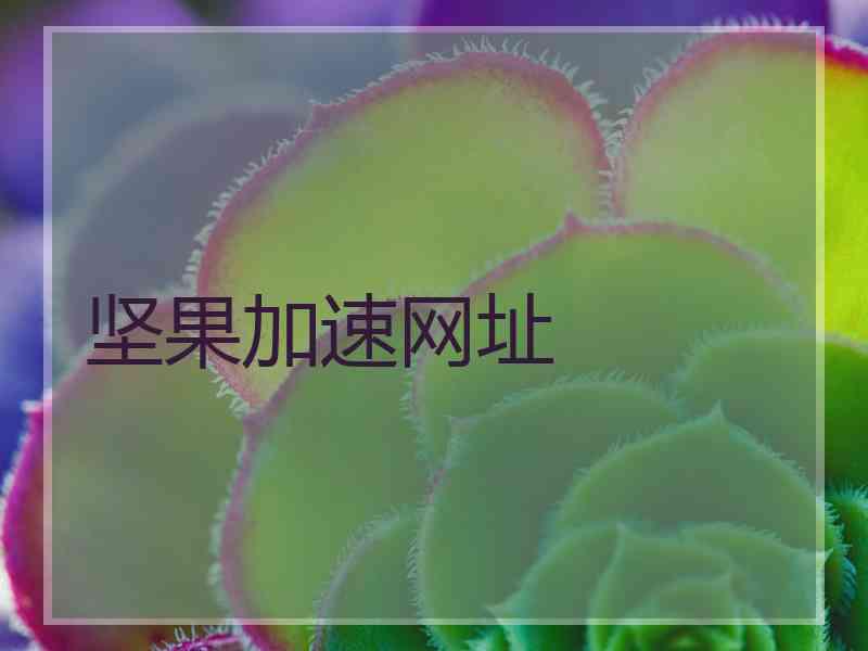 坚果加速网址