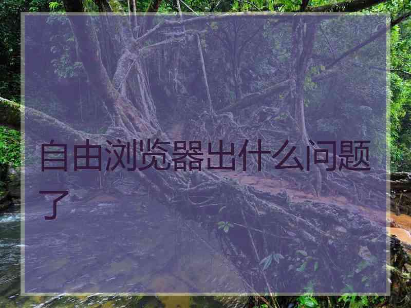 自由浏览器出什么问题了