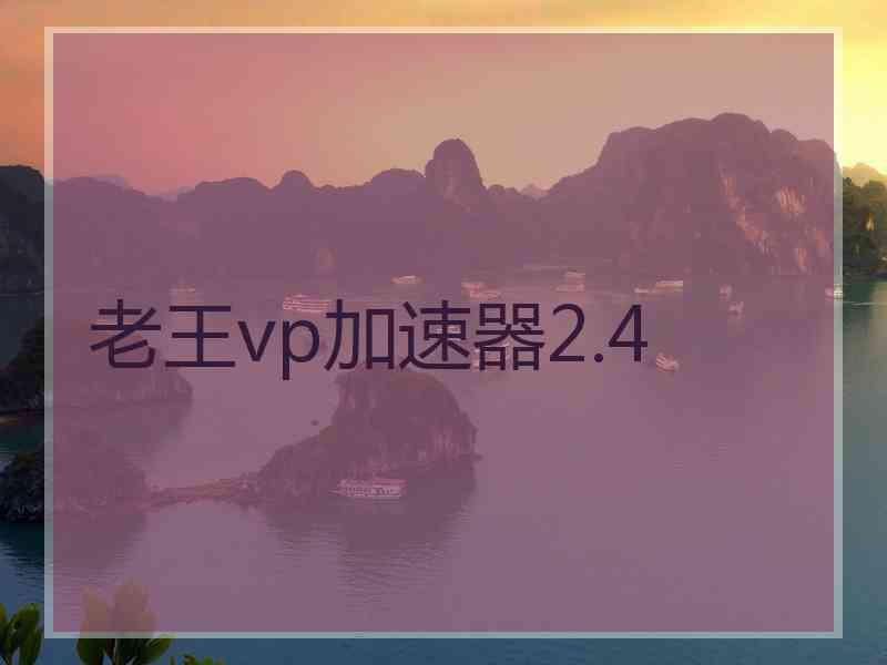 老王vp加速器2.4