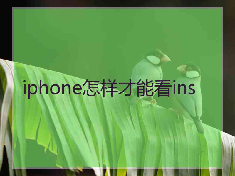 iphone怎样才能看ins