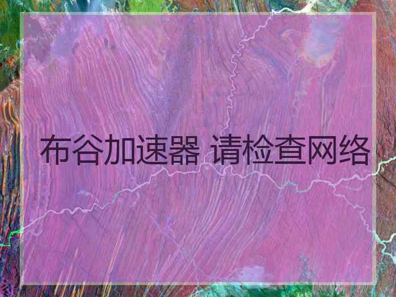 布谷加速器 请检查网络