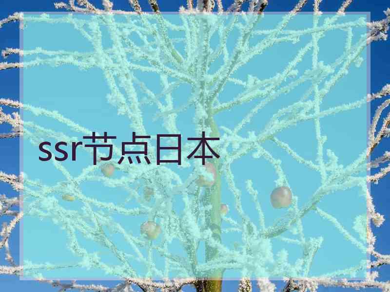 ssr节点日本