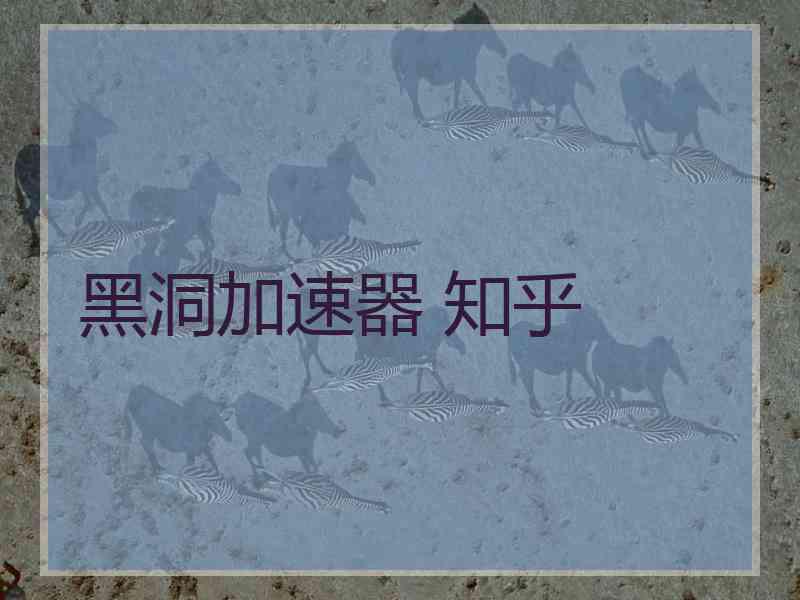 黑洞加速器 知乎