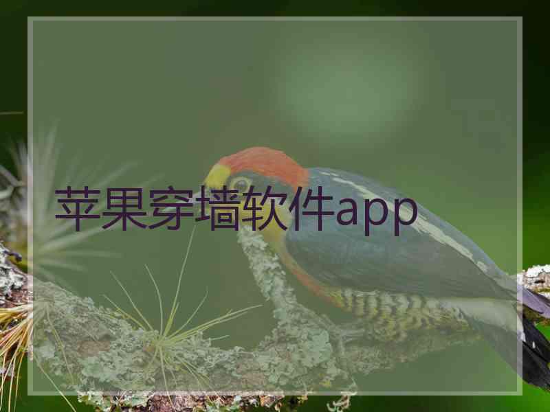 苹果穿墙软件app