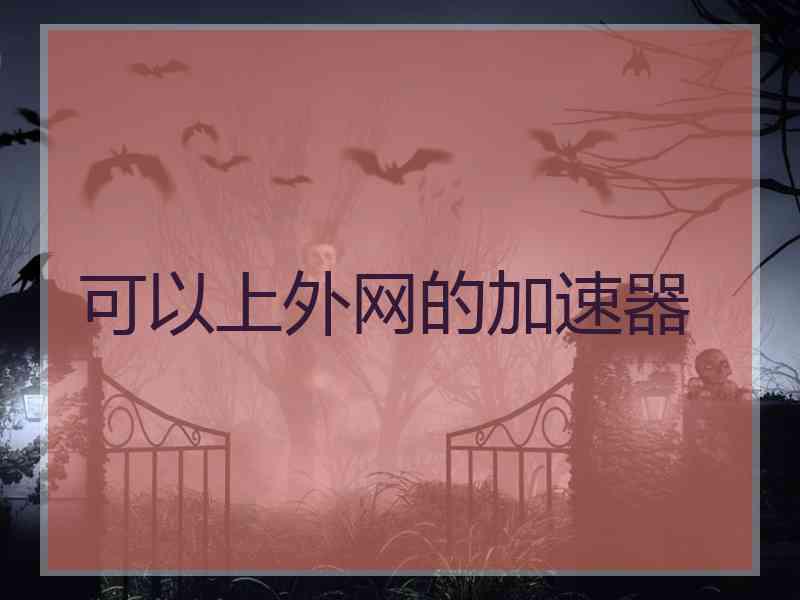 可以上外网的加速器