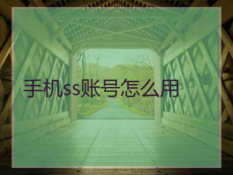 手机ss账号怎么用