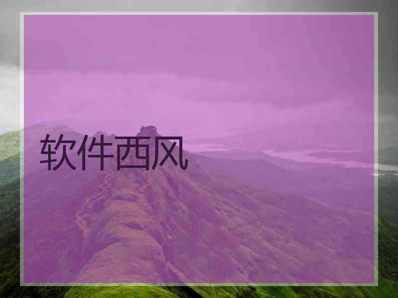 软件西风