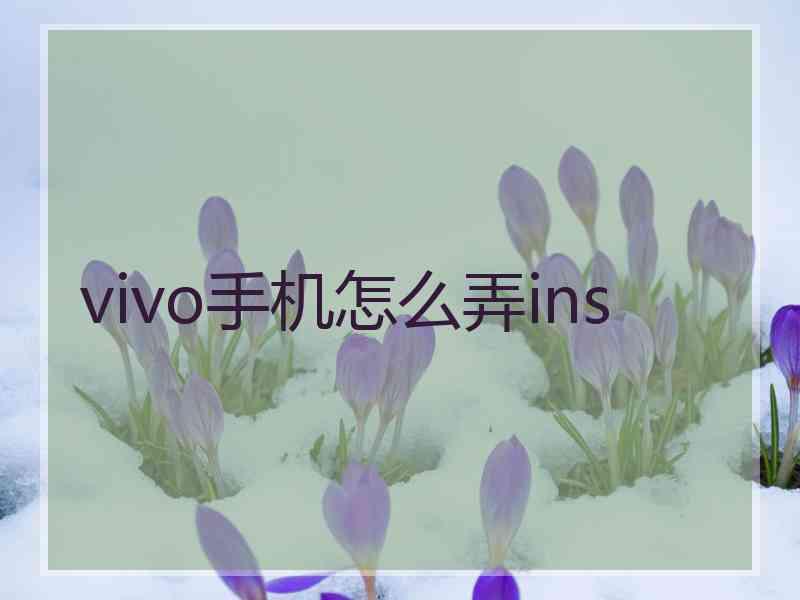 vivo手机怎么弄ins