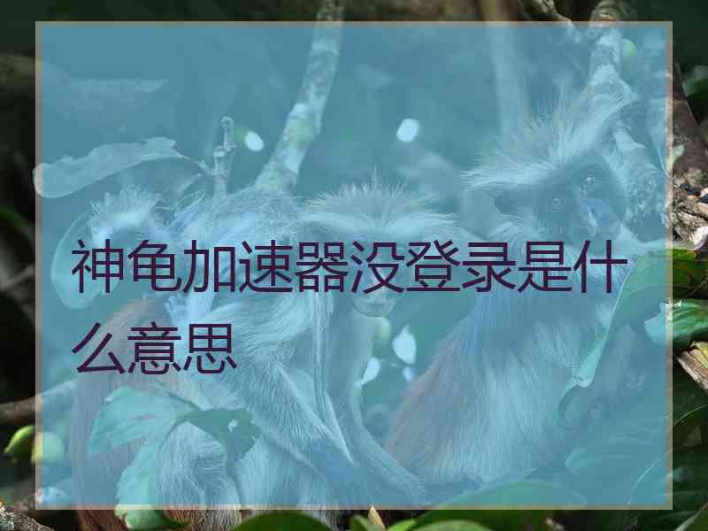 神龟加速器没登录是什么意思