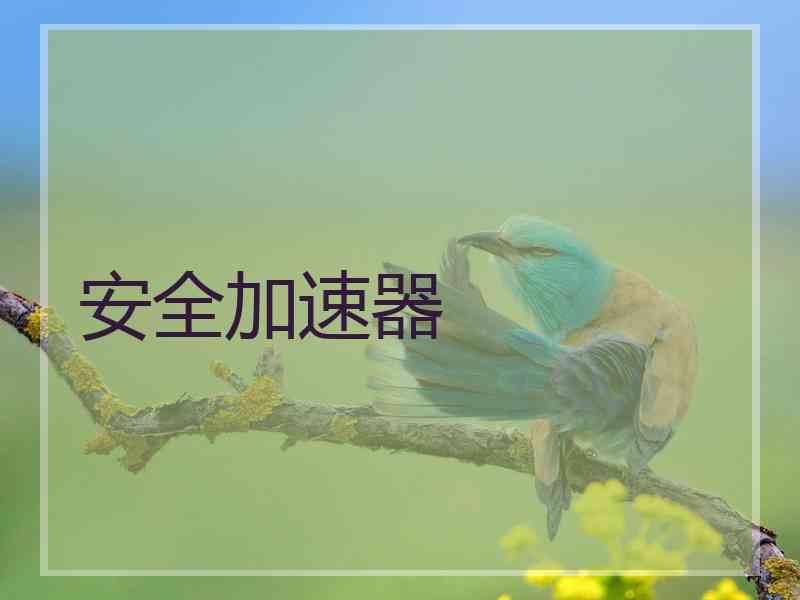 安全加速器