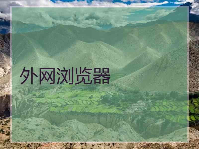 外网浏览器