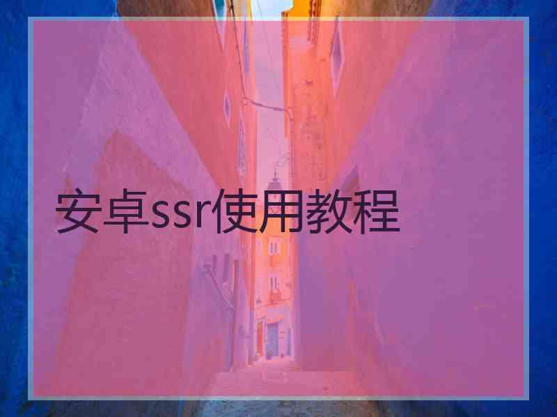安卓ssr使用教程