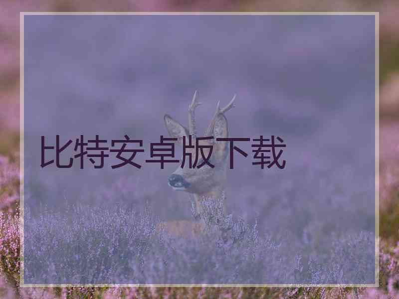 比特安卓版下载