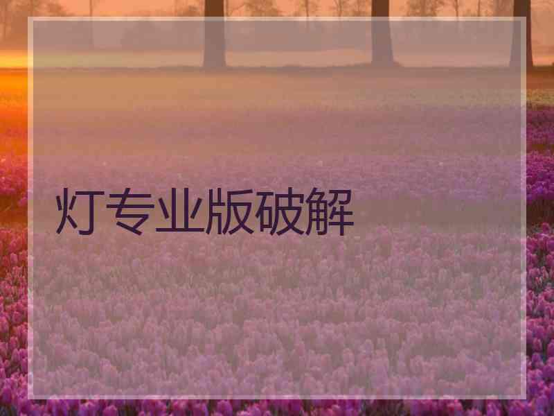 灯专业版破解
