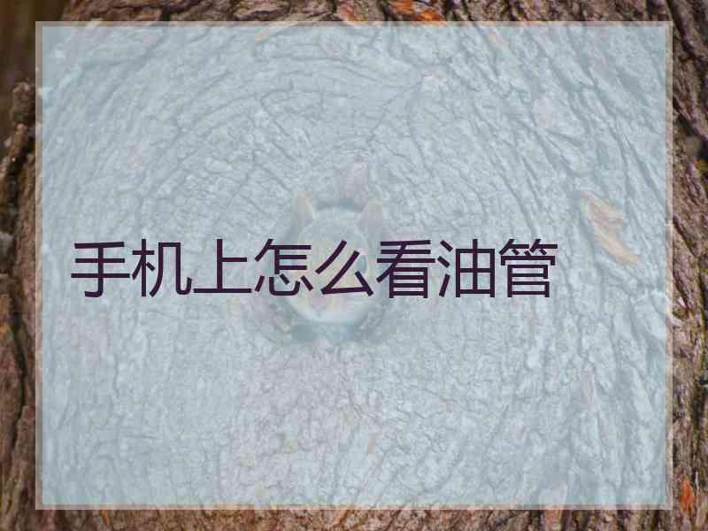 手机上怎么看油管