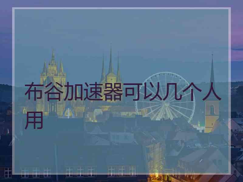 布谷加速器可以几个人用