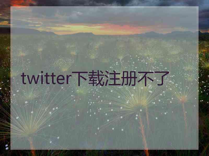 twitter下载注册不了