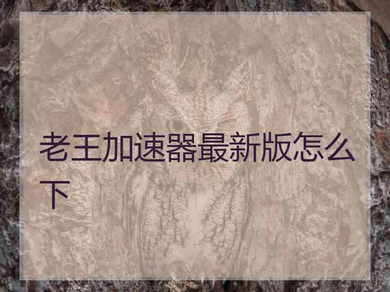 老王加速器最新版怎么下