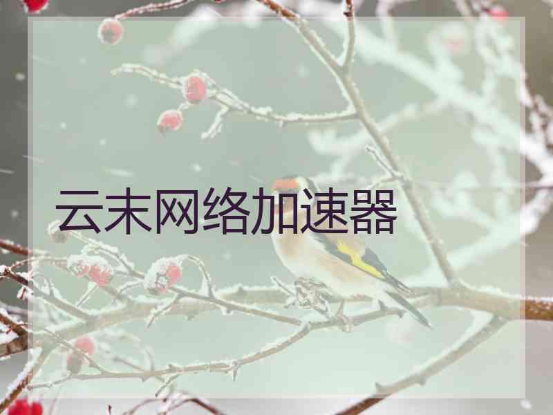 云末网络加速器