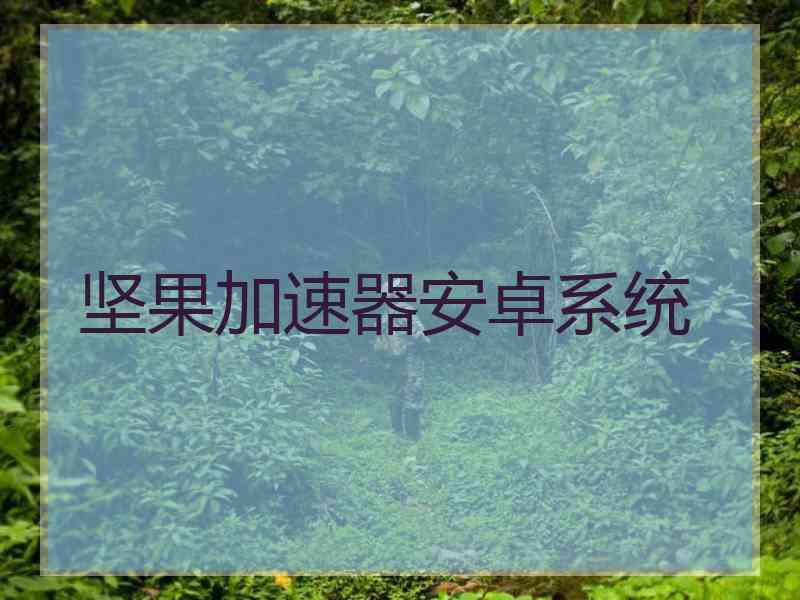坚果加速器安卓系统