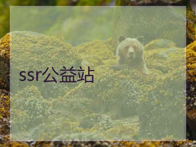 ssr公益站