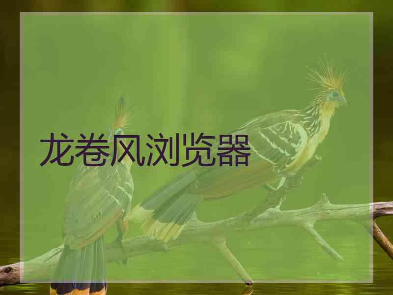 龙卷风浏览器