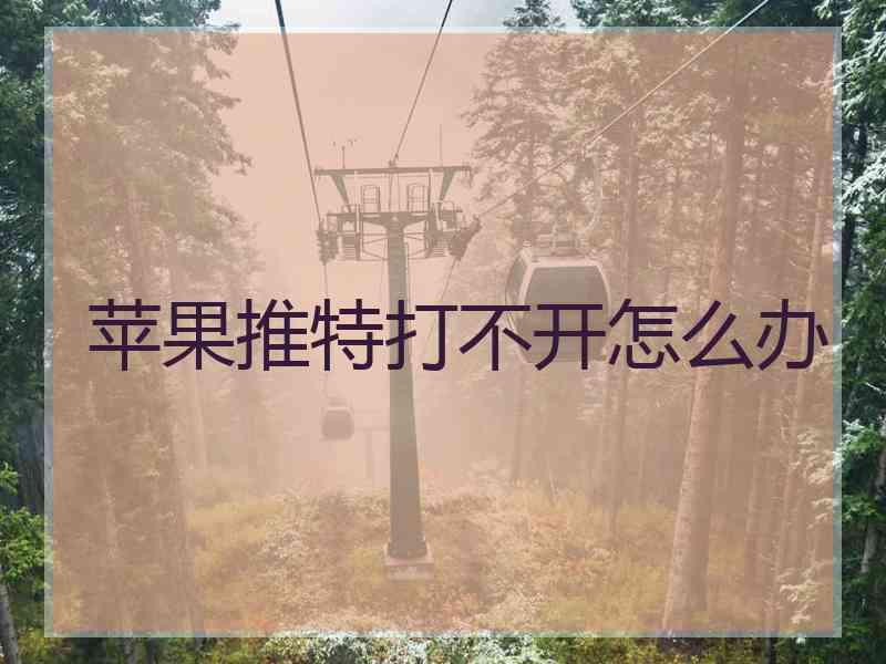 苹果推特打不开怎么办