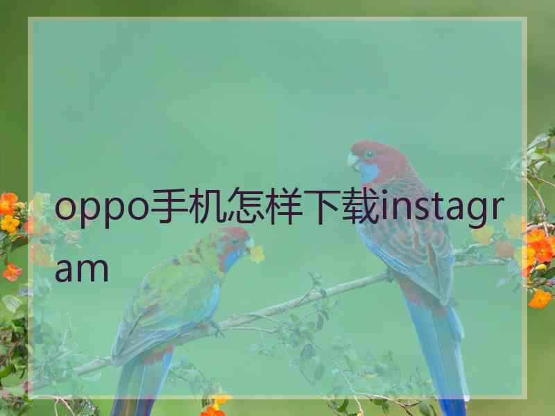 oppo手机怎样下载instagram