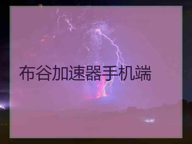 布谷加速器手机端