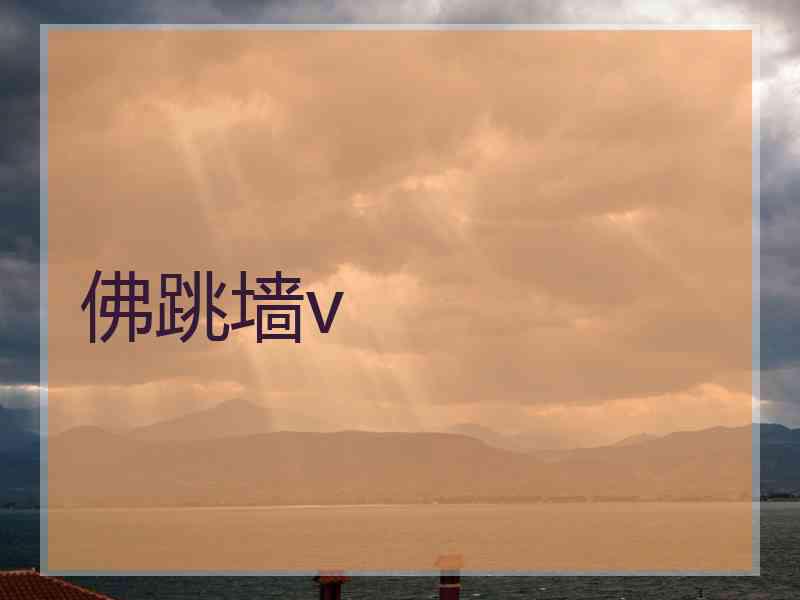 佛跳墙v