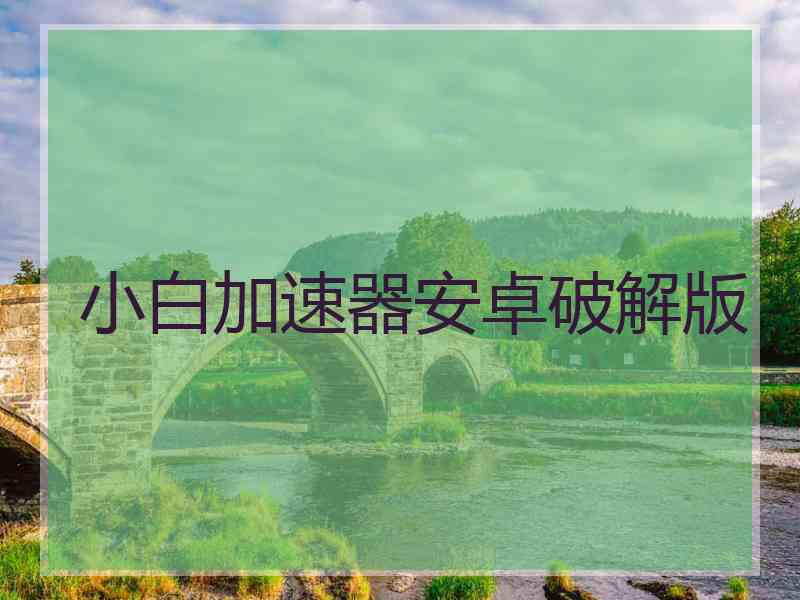 小白加速器安卓破解版