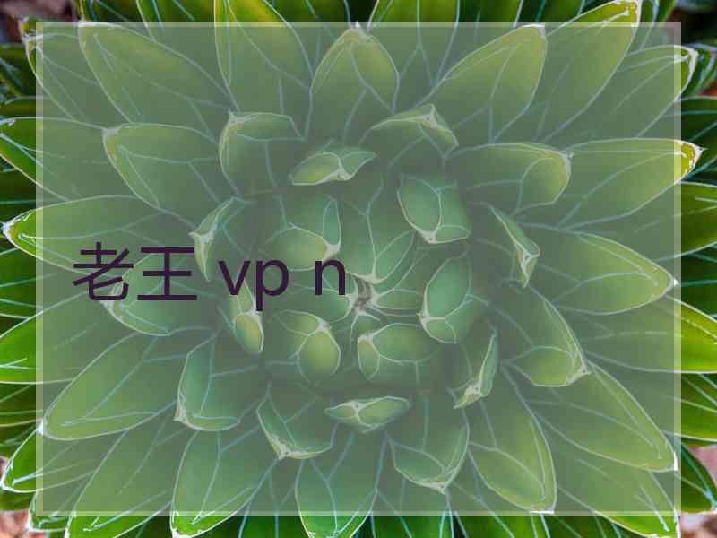 老王 vp n