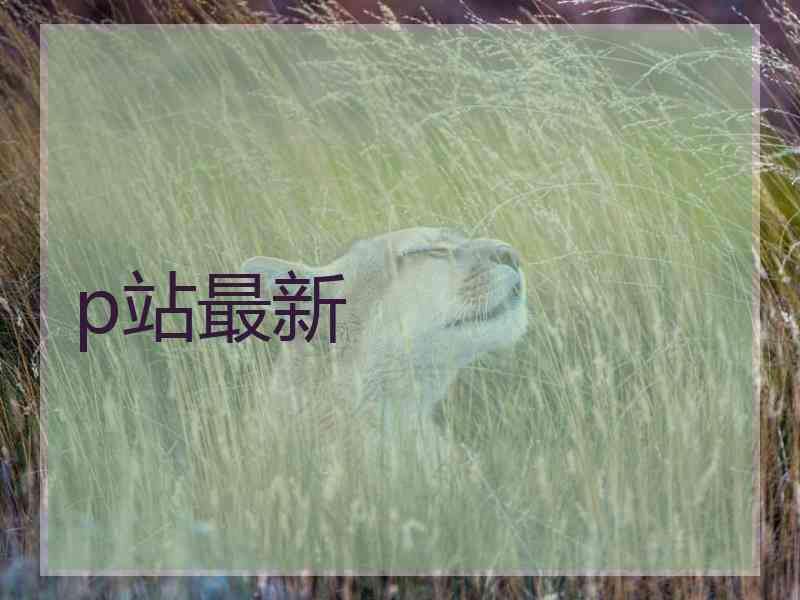 p站最新