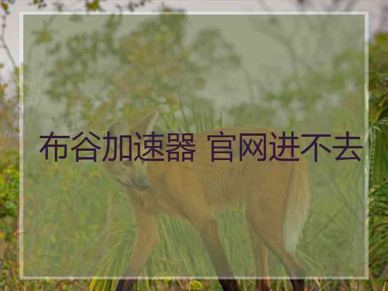 布谷加速器 官网进不去